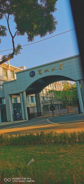 兰州五泉小学怎么样？带你深入了解这所充满活力与梦想的学校，见证孩子们在这里如何茁壮成长，成为最好的自己！