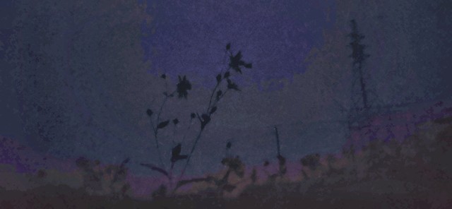 爬山为什么带雨具？因为雨中的山林，藏着你从未见过的美景与惊喜！
