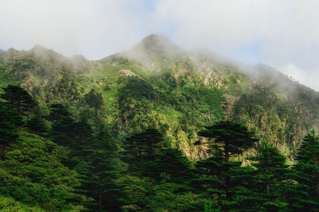 大理苍山海拔4122米：从山顶到心底的震撼之旅，探索大自然最真实的面容