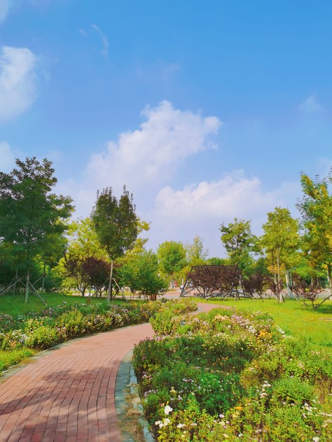 附近有什么好玩的公园？探索身边的绿洲，找到属于你的小确幸