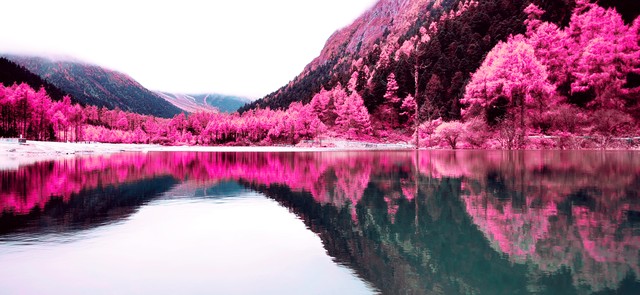 青海省有什么——从巍峨的雪山到绚烂的花海，从神秘的盐湖到古老的寺庙，这里是大自然的杰作与人文的瑰宝