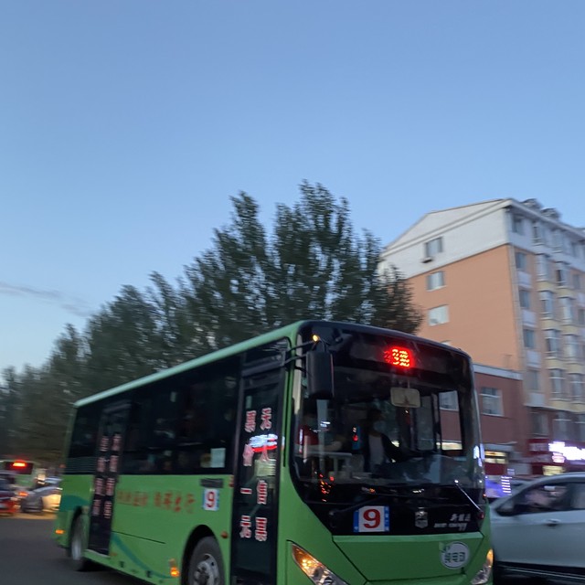 大理2路公交车最新调整：从公交修理厂出发，沿途风景如画，终点不再绕行阳南立交桥，直达兴达机动车检测站，这一变化背后的故事你知道吗？