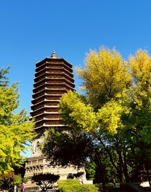 详细阅读:兴隆公园在哪里?探秘京城东南郊的绿意盎然之地 兴隆公园在哪里?探秘京城东南郊的绿意盎然之地