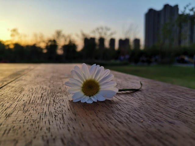 来场心灵上的大冒险：从忙碌生活中找回真正的自己，让每一天都充满意义与快乐