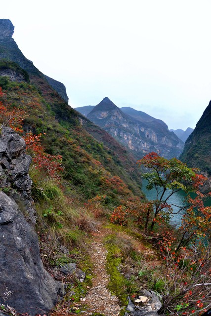 当你站在巫山之巅，海拔2680米的太平山俯瞰大地，那一刻仿佛时间静止，世界只剩下眼前的壮丽景色
