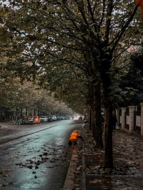 厌倦了城市的喧嚣，我选择了一条不寻常的路——逃离都市，寻找内心的宁静与自由