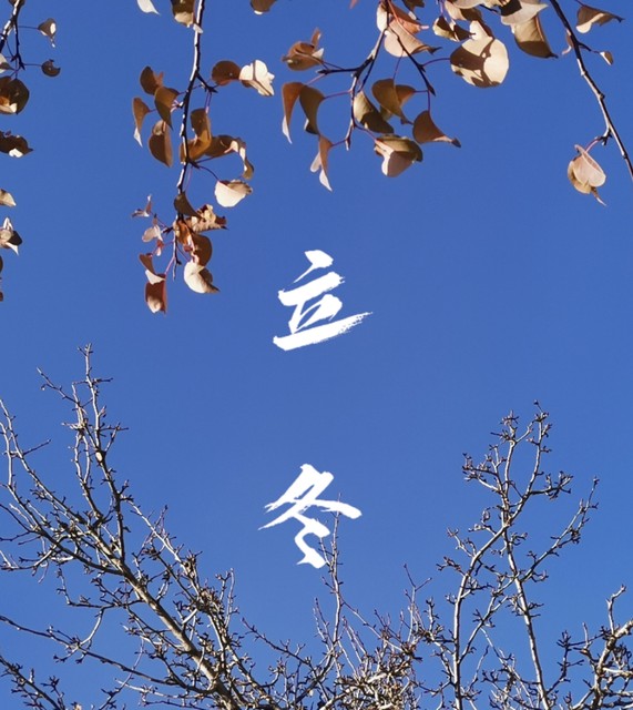 当立冬的第一缕寒风拂过，泉州的大街小巷弥漫着仔水鸭的香气，那是一场味蕾与心灵的邂逅