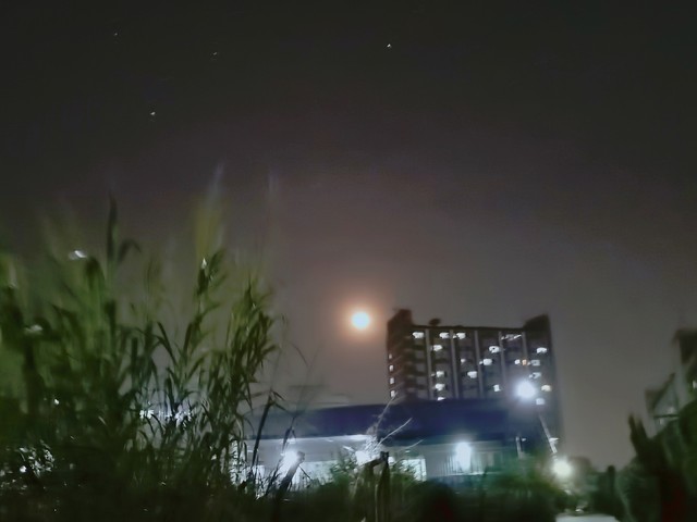 浸夜之余晖怎么样：当夜晚的幕布徐徐拉开，城市在霓虹灯下苏醒，每一个角落都藏着不为人知的故事——浸夜之余晖，如何悄然改变着都市夜生活的节奏？