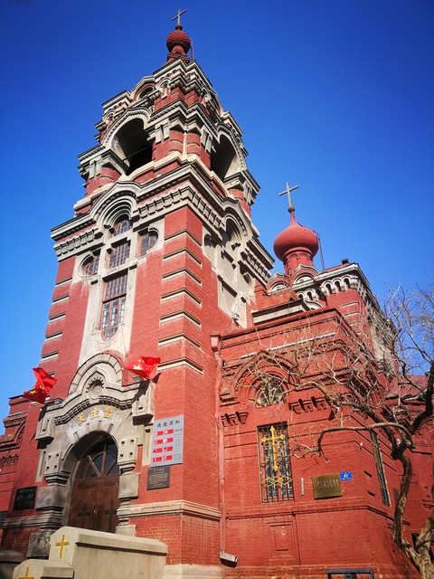 哈尔滨为什么种柳树：从城市绿肺到文化符号，冰城的柳树如何编织出一幅幅生态与人文交融的美丽画卷？