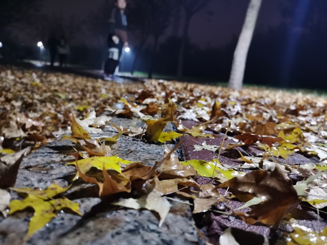 当你站在四季的交汇点，感受着空气中弥漫的激情与活力，是否想过这个季节究竟带给我们什么特别的意义？在这个充满无限可能的时刻，《当冰雪消融，春日的阳光洒满大地：与激情的季节共舞，探索那些触动心灵的故事》不仅仅是一个标题，它是一次邀约，邀请你一同踏入一段充满惊喜与感动的旅程。