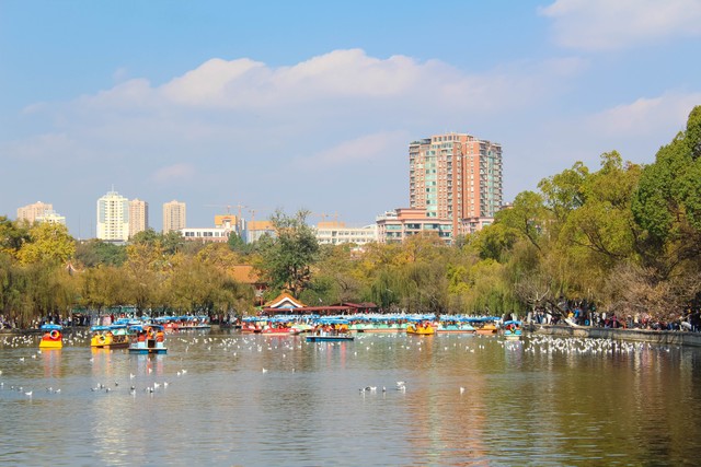 昆明旅游的最佳季节：春季与秋季，带你领略四季如春的迷人风光