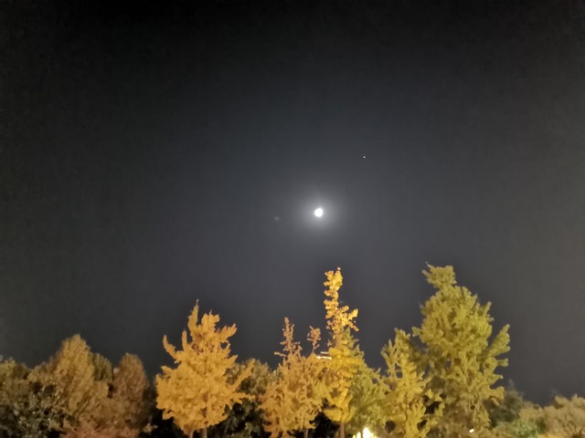 昆明旅游哪个季节最好？3月至5月的花海盛宴与红嘴鸥的冬季奇观，让你体验不一样的春城魅力