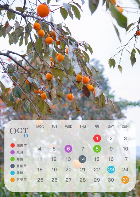 往年十一月份天气如何：那些年我们共同经历的冷暖无常，从北到南，你准备好迎接今年的初冬了吗？
