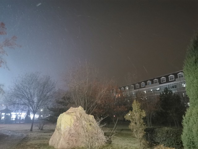 当《永夜星河》的冒险正悄然拉开序幕：一场跨越时空的心灵之旅，探索未知与成长