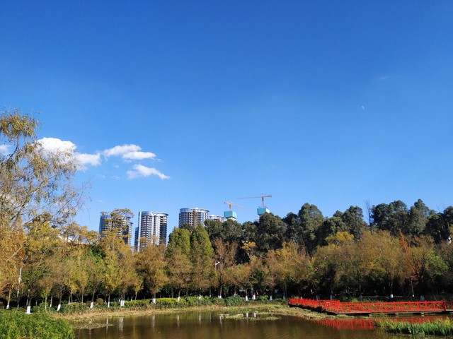 暖怀抱昆明：在春城的每一个角落，感受那份独特的温暖与活力