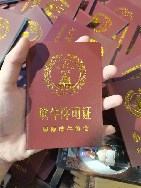 当学生证遇上身份证：一场绑定之旅的奇妙冒险