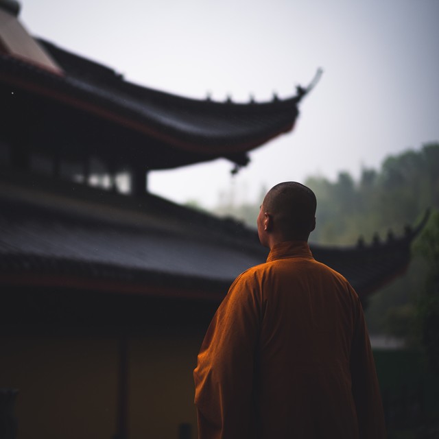 当你站在净土的边缘，是否能感受到那股来自内心深处的呼唤？净土中找到归：探索心灵家园与现代社会的和谐共生之道