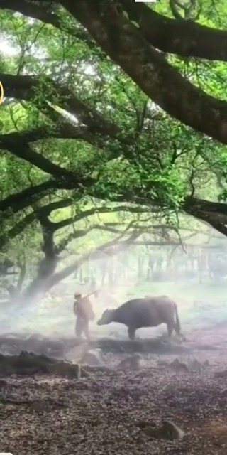 景的奇妙对话：当冬日暖阳遇见白雪皑皑的世界，一场意想不到的心灵之旅就此展开