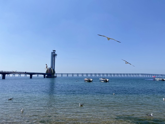 星海公园门票多少钱？不收门票的星海公园，如何用一场免费的海滨之旅打动你的心