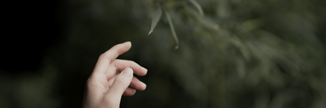 等待着每一位，不论你身处何方，不论你经历了什么，总有那么一刻，你会发现自己不再孤单
