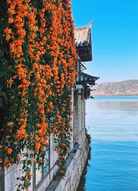 去大理还是香格里拉？一场说走就走的旅行，你准备好了吗？