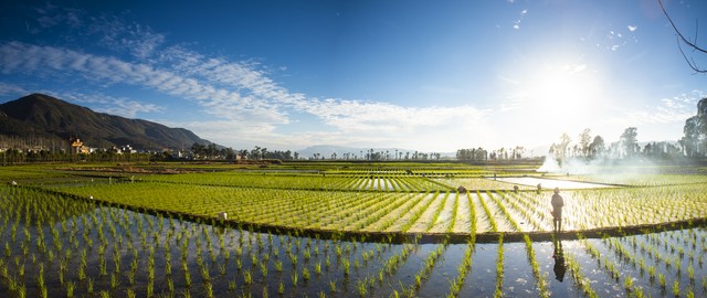 详细阅读:昆明市乡村生态旅游:从“网红”小渔村到生态明珠的华丽蜕变,看海晏村和牛恋小渔村如何用绿色绘就乡村振兴新篇章! 昆明市乡村生态旅游:从“网红”小渔村到生态明珠的华丽蜕变,看海晏村和牛恋小渔村如何用绿色绘就乡村振兴新篇章!