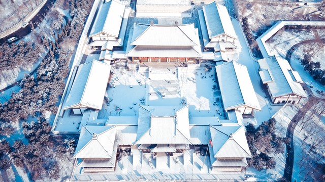 沈阳职业技术学院怎么样？2024年最新揭秘，让你不再迷茫，轻松找到心仪的专业！