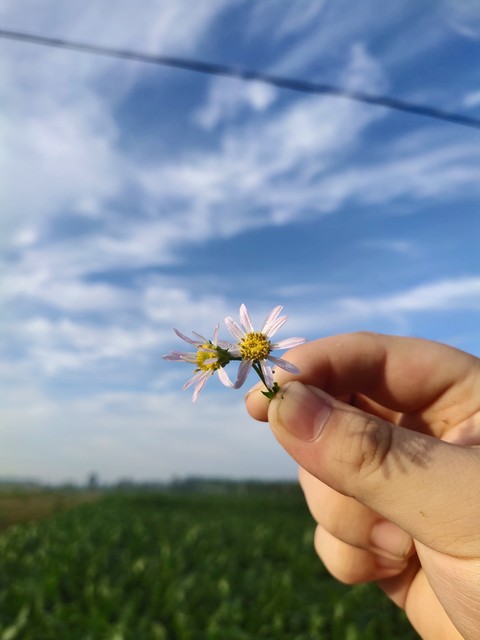 云南文山都有哪些景点，让你的旅行不再只是走马观花