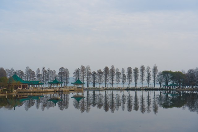 武汉东湖在哪个区？带你深入探索这座城市的绿色心脏，感受东湖的四季变换与人文魅力