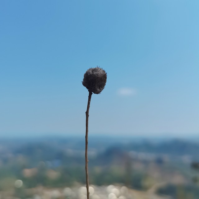 让人陶醉的意义：从生活点滴中寻找那份难以忘怀的美好
