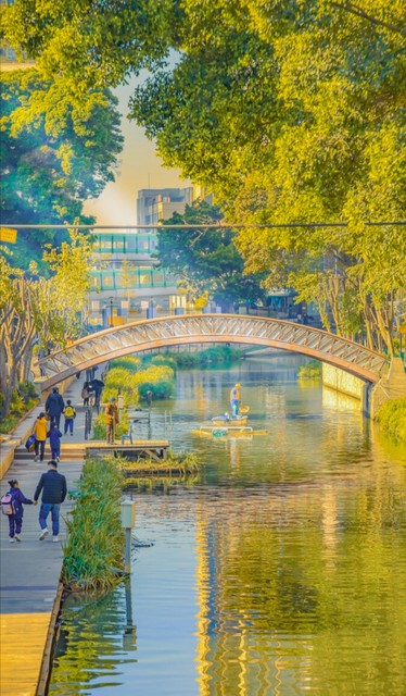 不仅有小桥流，还有那些你意想不到的惊喜——探索城市角落里的隐秘美丽