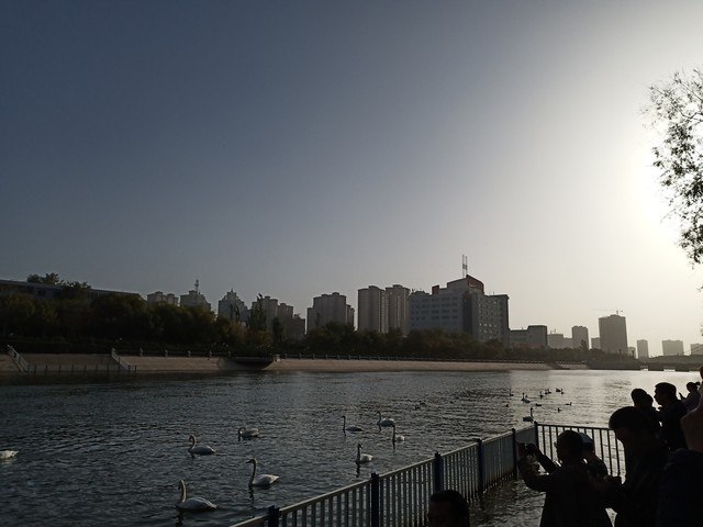库尔勒空气为什么让人揪心？背后的故事你知道多少