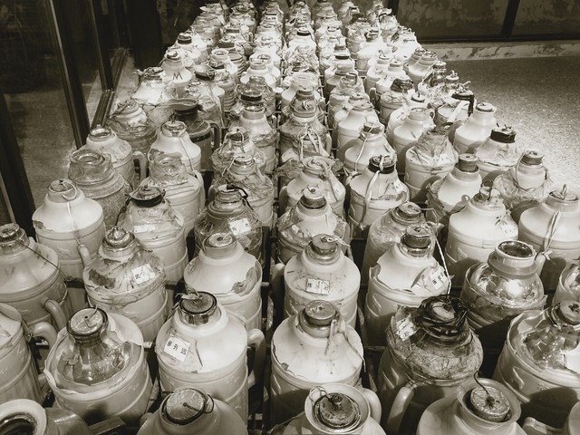 鞋的品牌有哪些？2024年最新十大品牌排行榜，让你不再迷茫，轻松找到心仪的鞋子！