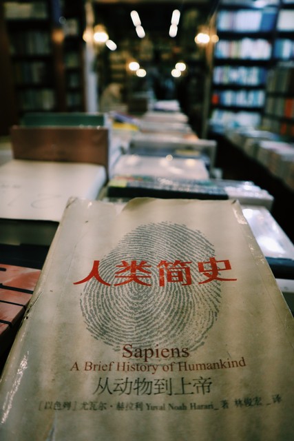 浪漫旅程想：当爱情与旅行相遇，每一刻都是心动的见证——从厦门十点书店到世界各地的爱情故事