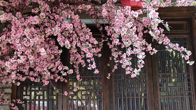 深圳玫瑰小镇门票多少钱？最新票价、优惠政策、购票渠道全解析，让你轻松游遍浪漫仙境！