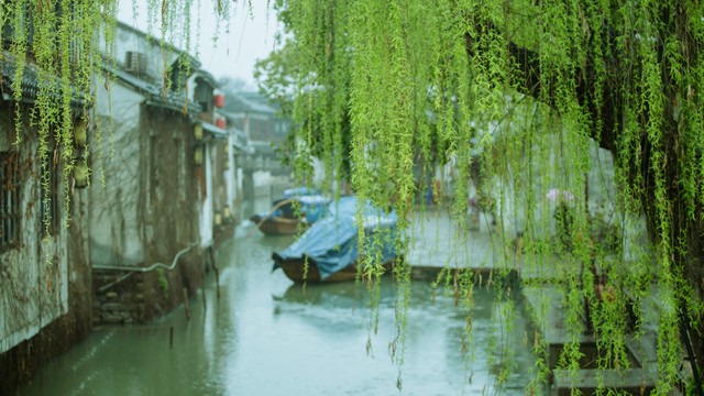 畔的诗画江南：从杭州虎跑公园到桐庐山水，一场不容错过的视觉盛宴，带你走进江南最美的季节，感受枫叶满开的魅力与文创设计大赛背后的创意故事