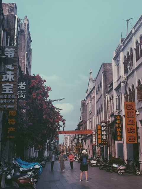 为什么北海不是热带？当亚热带风情遇见海洋性季风，这座城市的独特魅力你绝对想不到！