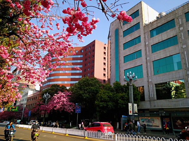 昆明市旅游职业中学：一座梦想起航的地方，不仅培养专业技能，更让你的人生充满无限可能！