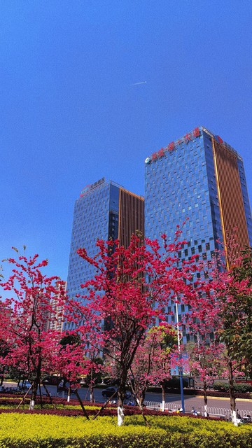 昆明市妇幼保健中心：守护生命之花，携手共创健康新篇章——从青春健康到全生命周期管理的温暖旅程