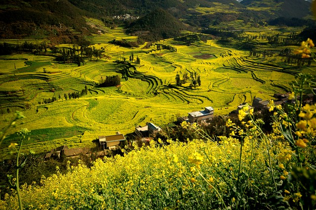 三月去云南旅游天气好吗？春暖花开的季节里，你绝对不想错过的云南之旅！