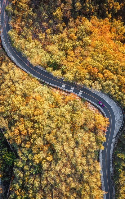 路的风情万种：从丝绸之路到现代公路，一场跨越千年的视觉盛宴 | 探索每一条路背后的故事，感受那不变的浪漫情怀与人文魅力