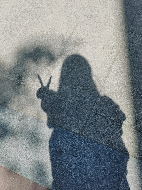 就像要去见一：一场充满未知与惊喜的旅程，你准备好迎接这场特别的约会了吗？