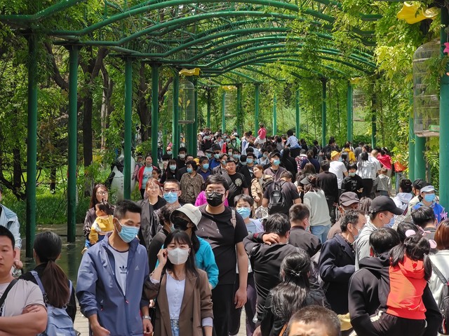 南浔古镇门票多少？2024年最新票价信息、游玩攻略和不容错过的精彩瞬间