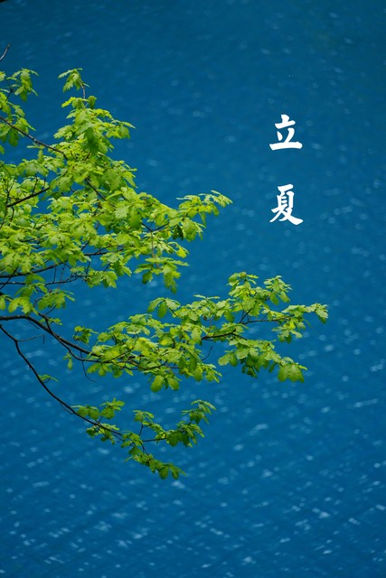 6月什么季节？夏日初来乍到，热情如火的季节，你准备好了吗？
