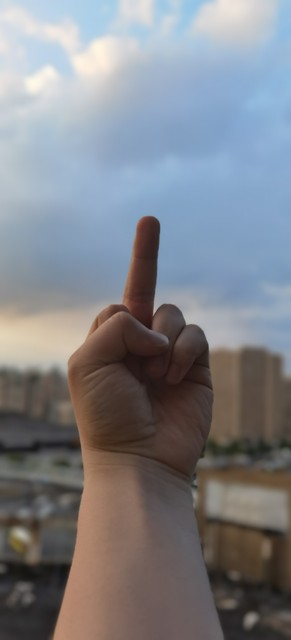 当你拨通0551，电话那头传来熟悉的声音——这里是合肥，中国最活力四射的城市之一