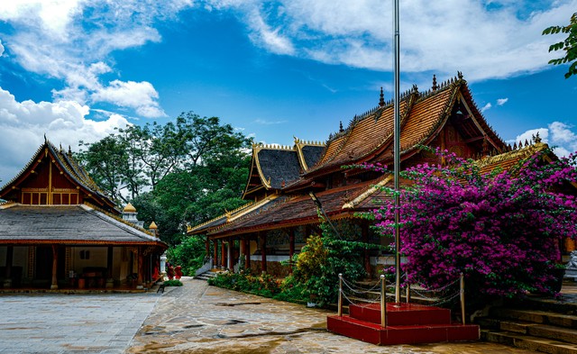 去西双版纳旅游的路线：一场热带雨林与民族文化交织的奇幻之旅，你准备好迎接这份惊喜了吗？