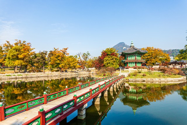 韩国的旅游景点有哪些：从首尔到济州岛，一场说走就走的心灵之旅，探索景福宫、N首尔塔、乐天世界等必去打卡地，感受韩国独特魅力与现代活力的完美融合