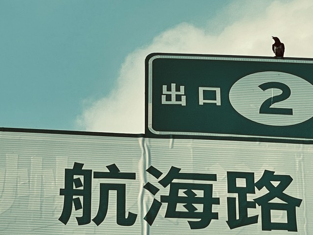 如何在去哪儿网买机票，轻松几步搞定你的旅行计划