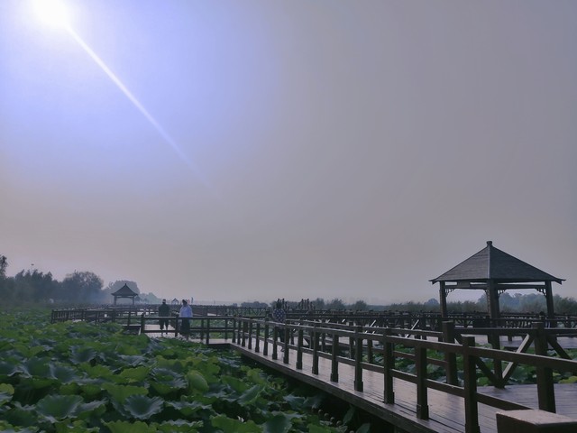 淮阳哪里好玩的地方：从太昊陵到龙湖，一场穿越古今的文化之旅