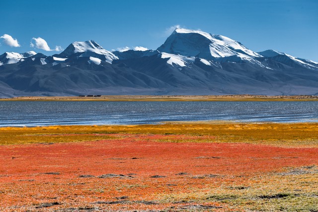 阿里有什么旅游景点？带你领略世界屋脊上的神秘与壮丽，探索那些你从未见过的自然奇观和人文遗产